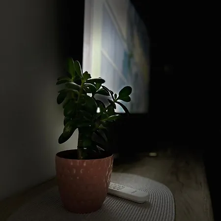 Serenity Apartamento Kragujevac