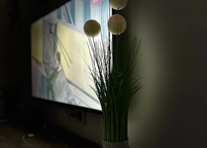 Serenity Крагуевац